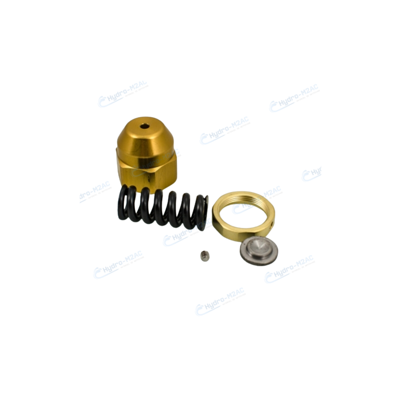 6.005.0120 - ENSEMBLE REGULATEUR DE PRESSION LAVOR