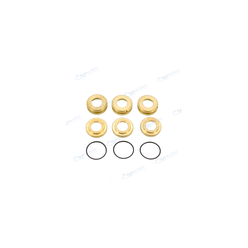 6.005.0119 - KIT 110LW BAGUES ET JOINT POUR POMPE HAUTE PRESSION