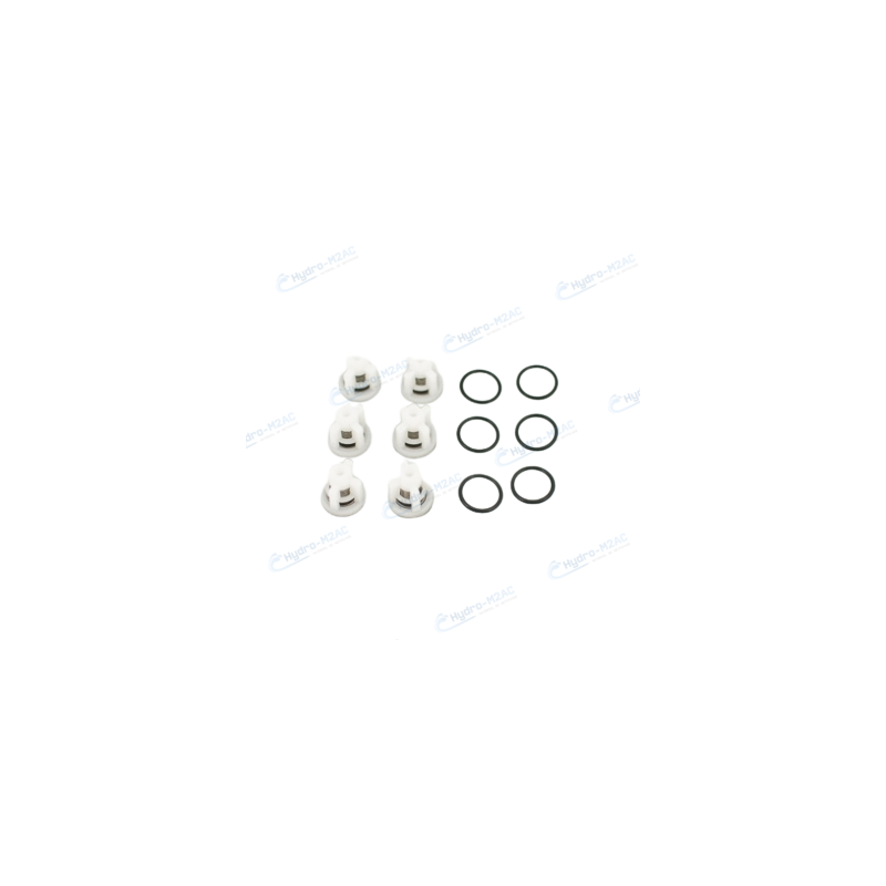 6.005.0117 - KIT 6 CLAPETS ET 6 JOINTS D'EAU POUR TETE LAITON 99