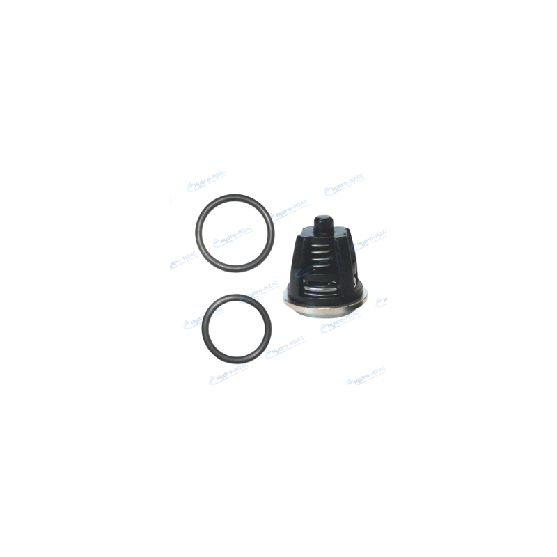 50250025 - KIT 6 CLAPETS AVEC JOINT ORING POMPE FW2 FWS2