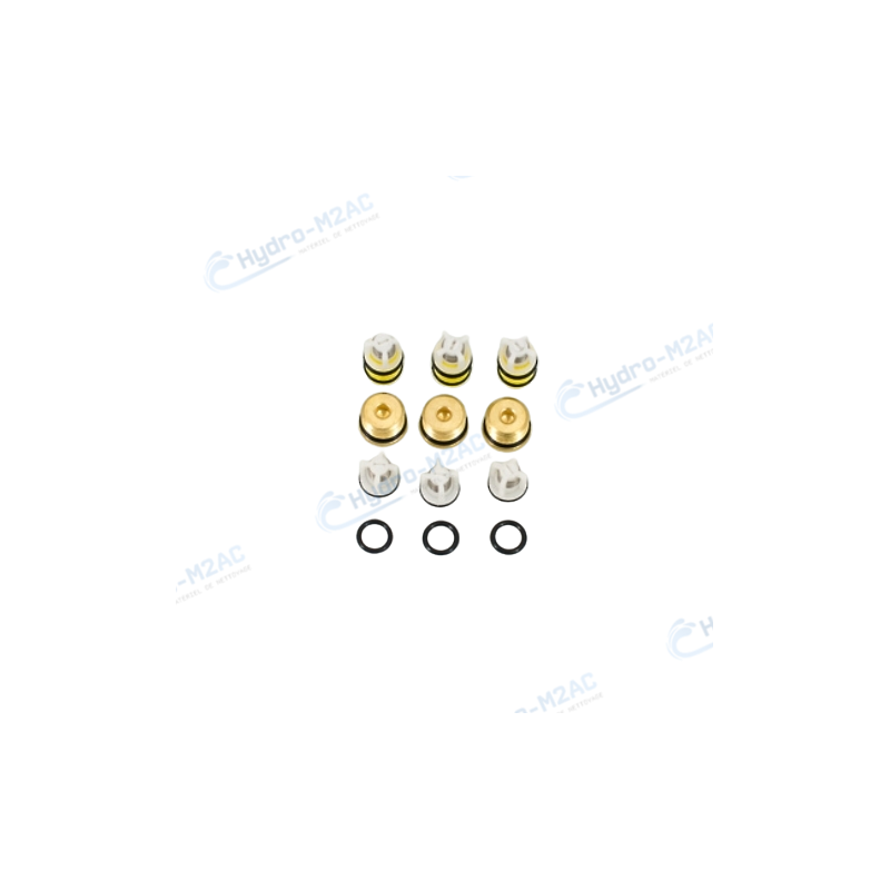 6.005.0315 - KIT CLAPETS KIT287 POUR NETTOYEUR HAUTE PRESSION 6.005.0315 - KIT CLAPETS KIT287 POUR NETTOYEUR HAUTE PRESSION