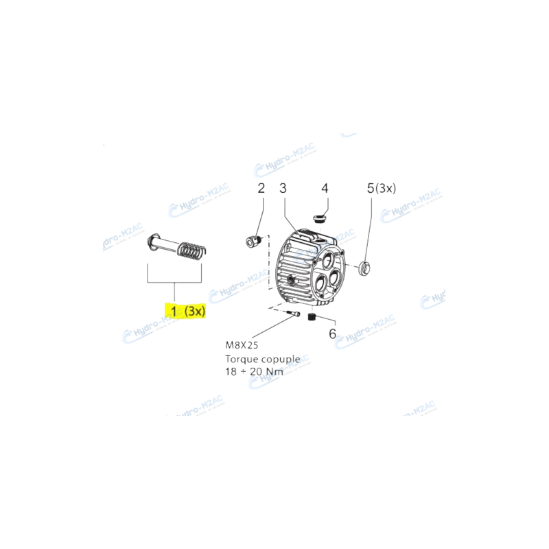 6.005.0032 - KIT 30 - PISTON ET RESSORT POUR NETTOYEUR LAVOR