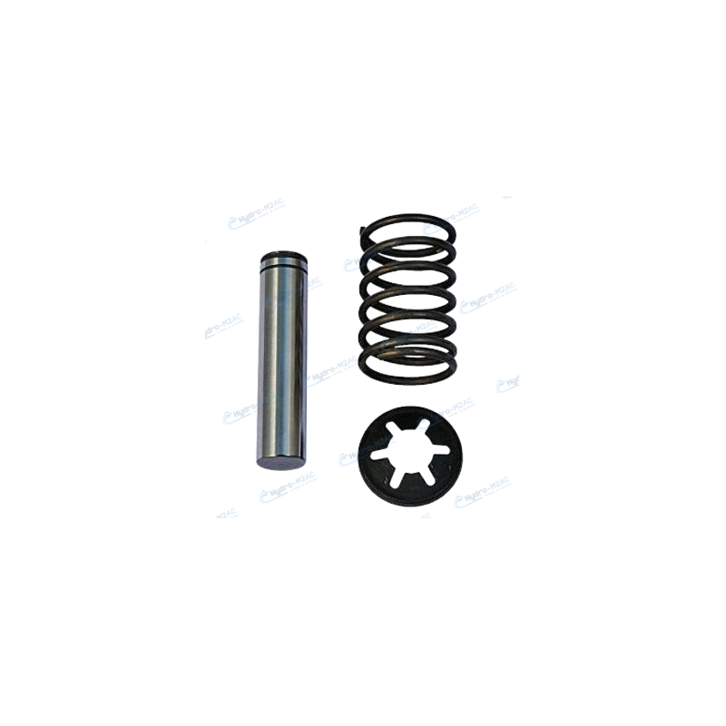 1306 - KIT 1 PISTON 14X63.2 AVEC RESSORT ET JOINT