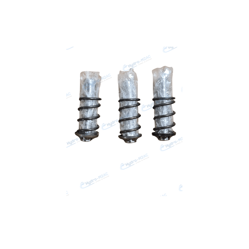 6.005.0181 - KIT 3 PISTONS ET RESSORTS POUR SUPERWASH 160 6.005.0181 - KIT 3 PISTONS ET RESSORTS POUR SUPERWASH 160