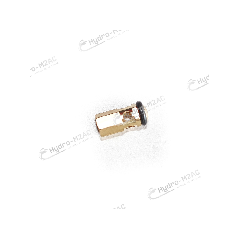 CLAPET NON RETOUR + ORING POMPE ZW - image 1