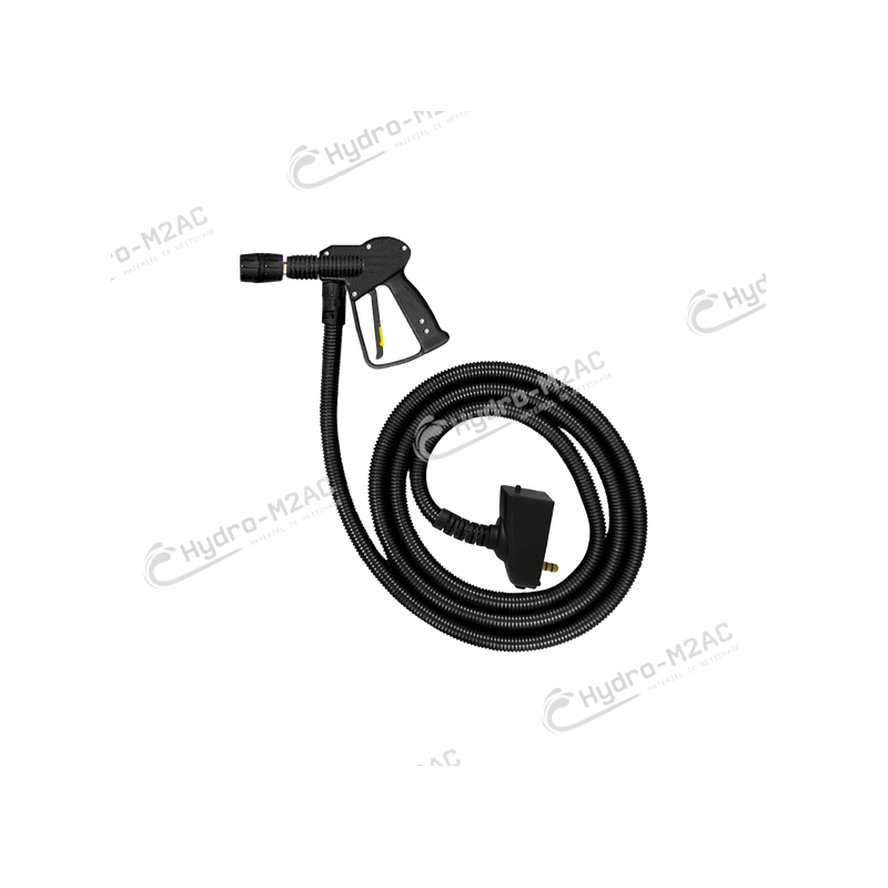 PISTOLET À VAPEUR AVEC HOSE 10M - image 1