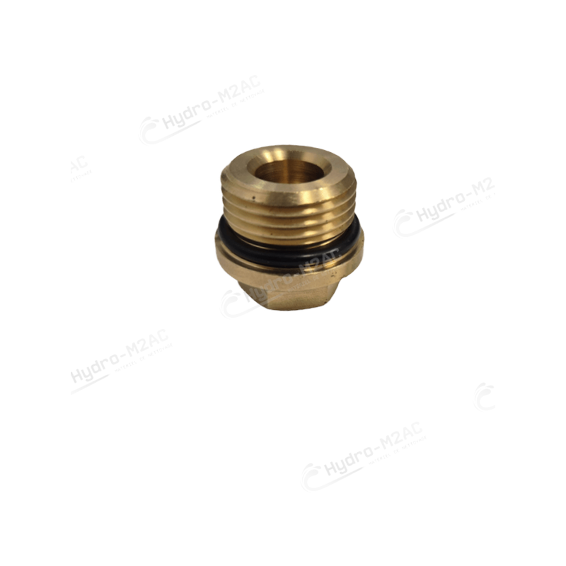 5.009.0101 - 00008-01245 - BOUCHON DE CLAPET AVEC JOINT POUR NETTOYEUR HAUTE PRESSION 5.009.0101 - 00008-01245 - BOUCHON DE CLAPET AVEC JOINT POUR NETTOYEUR HAUTE PRESSION