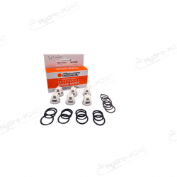 5025 0020 - KIT CLAPETS COMPLET POUR POMPE TW8030S ET MODÈLES ASSOCIÉS