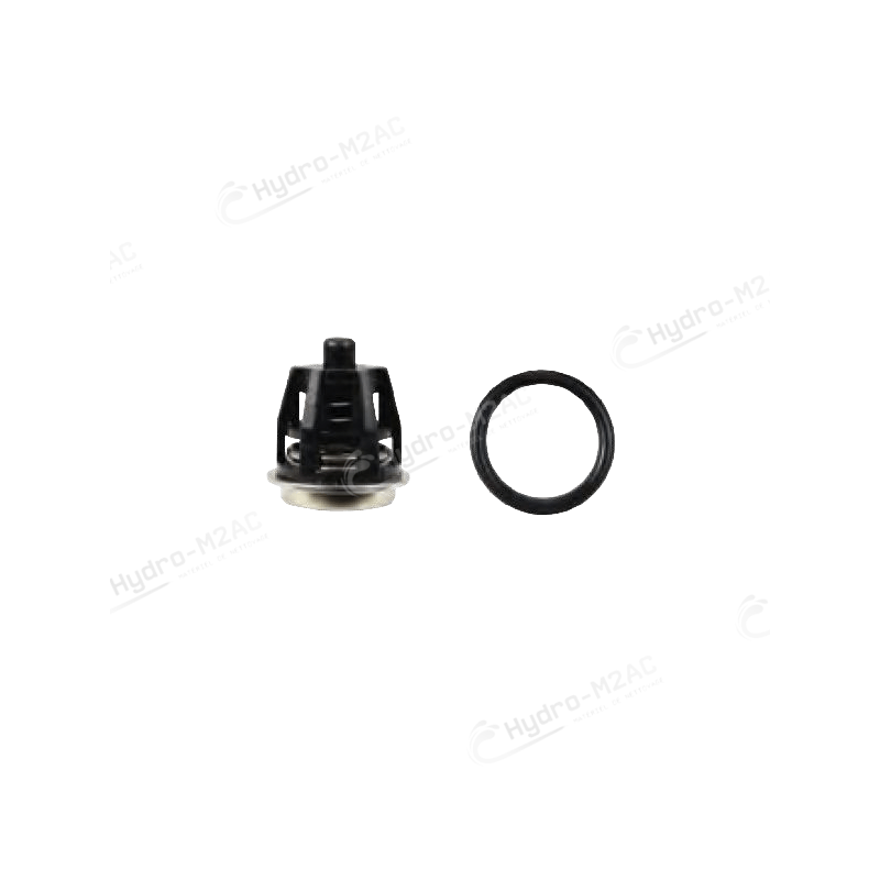 KIT CLAPET N°1 NEW INTERPUMP - image 1