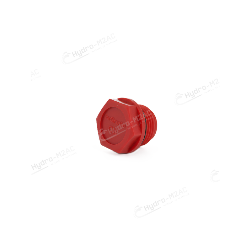 BOUCHON D'HUILE - image 1