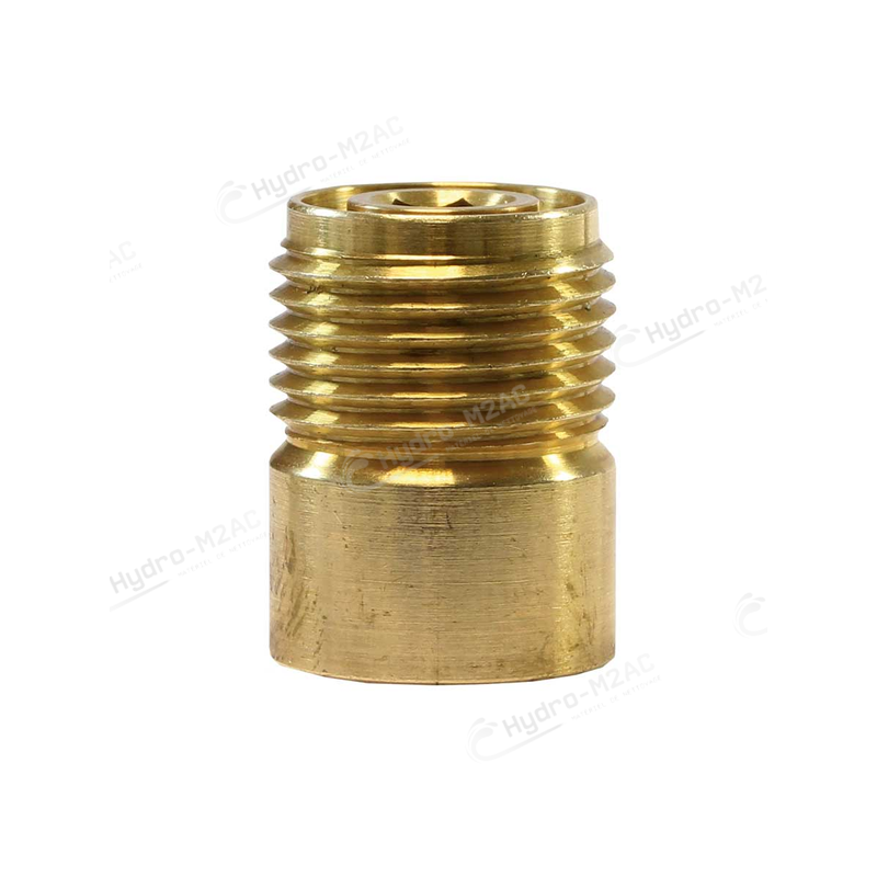 ADAPTATEUR DE LANCE LAITON 1/4 F - M18 M - image 1