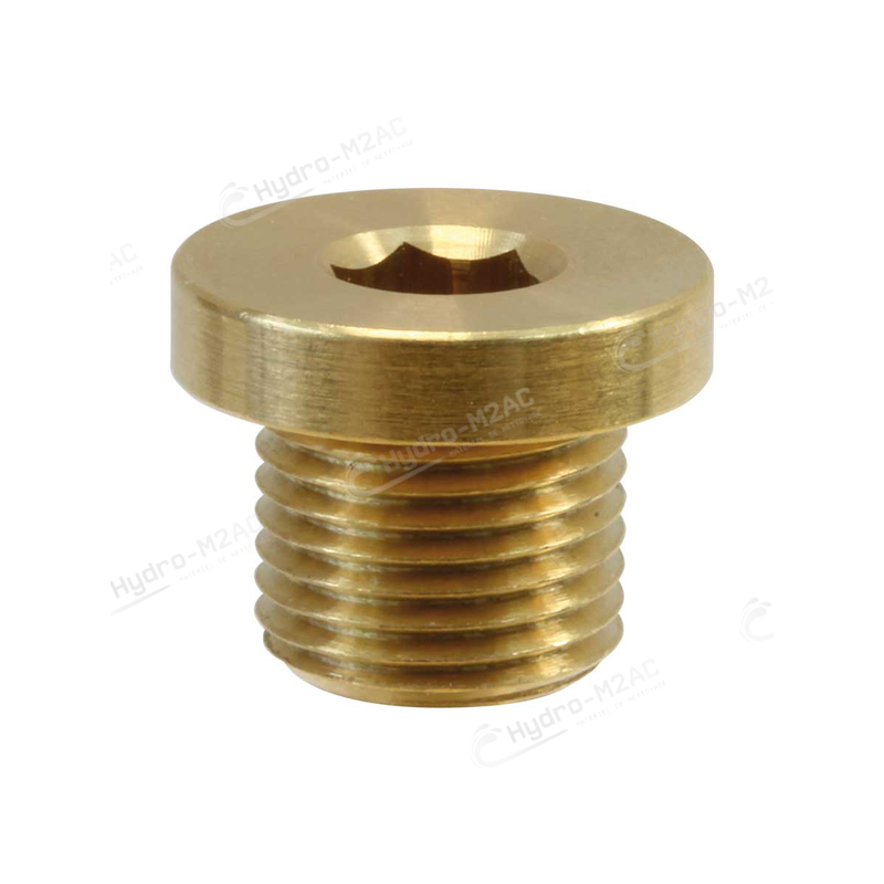BOUCHON 1/8M AVEC COLLERETTE LAITON - image 1