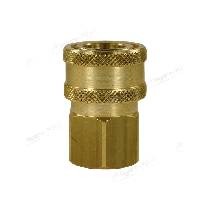 RACCORD RAPIDE SP20 3/8 F - image 1