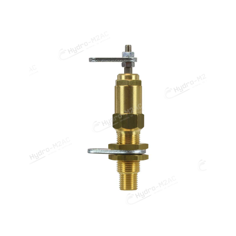 RÉGULATEUR DE VITESSE RG1 1/4" M COURSE 14 MM - image 1