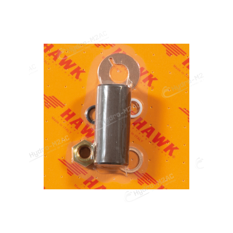 PISTON COMPLET 22 MM POUR POMPE HAWK - image 1