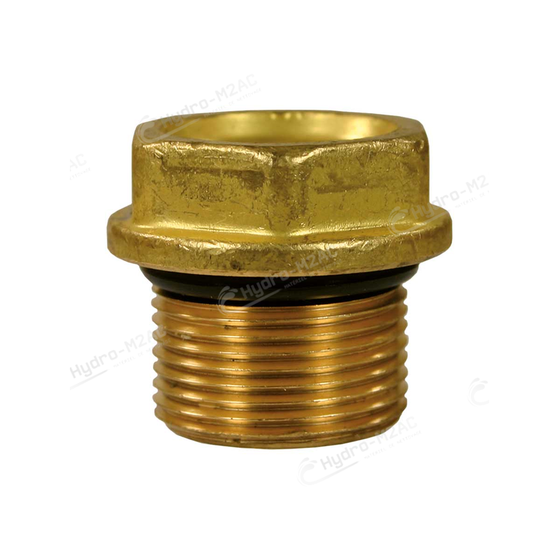 KIT 84 BOUCHONS DE 6 CLAPETS POUR POMPE INTERPUMP - image 1