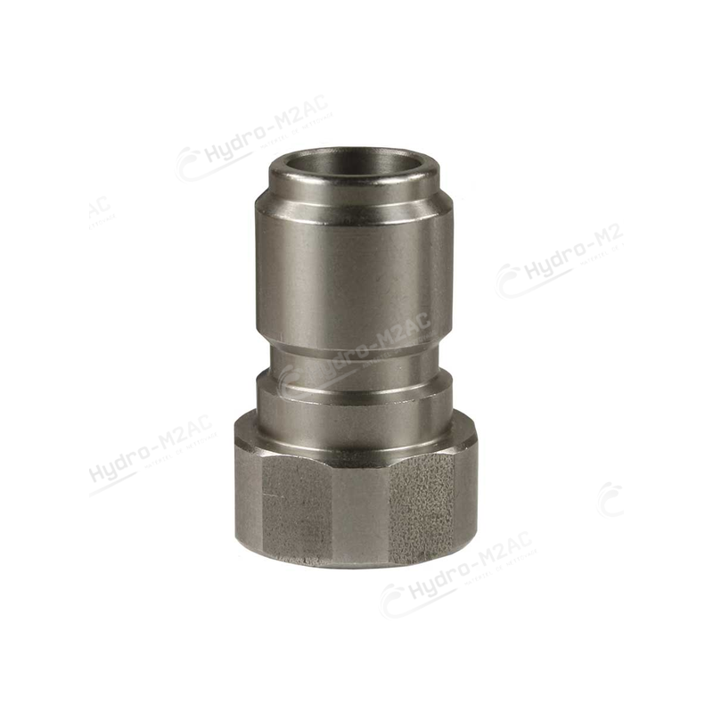 COUPLEUR 3/8F INOX ST-3100 - image 1