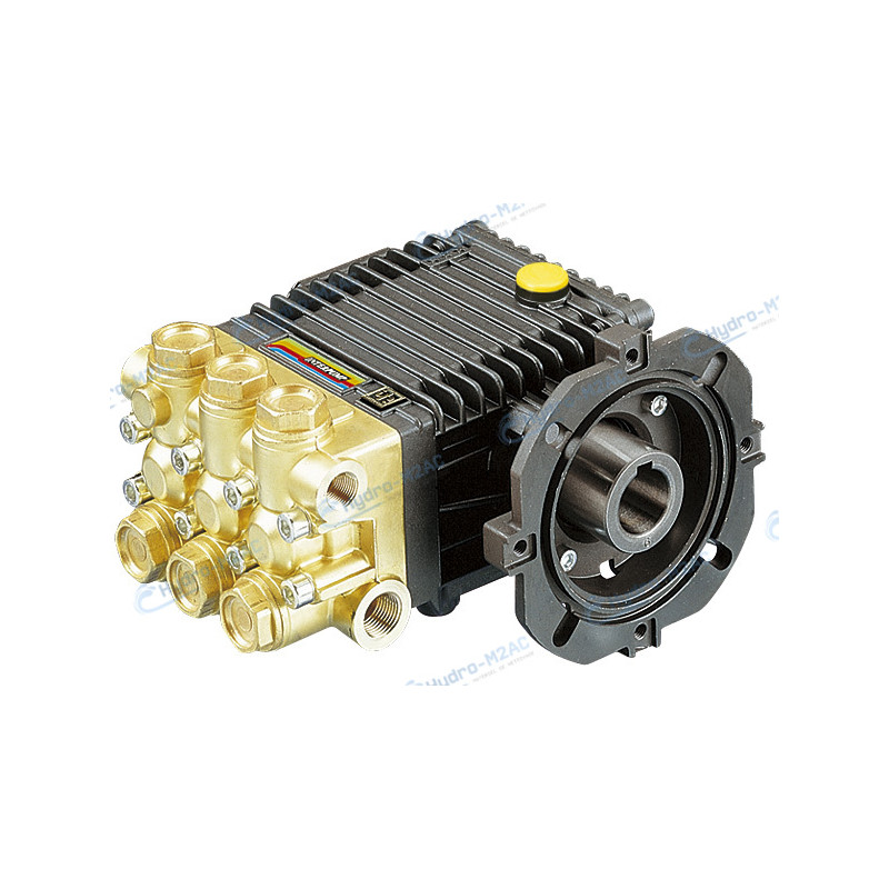 WW156B - POMPE WW156B INTERPUMP SERIE 44 VERSION B WW156B - POMPE WW156B INTERPUMP SERIE 44 VERSION B
