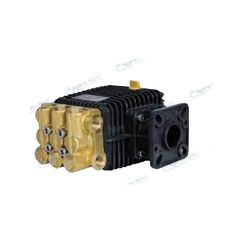 WBG2030 - POMPE BERTOLINI WBG 2030 ARBRE CREUX 3/4"