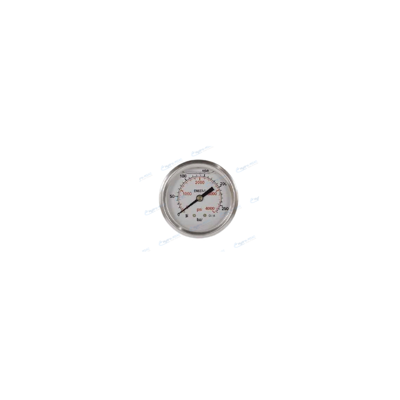 Manomètre 250 Bar Pour Nettoyeur - Nettoyeur haute pression