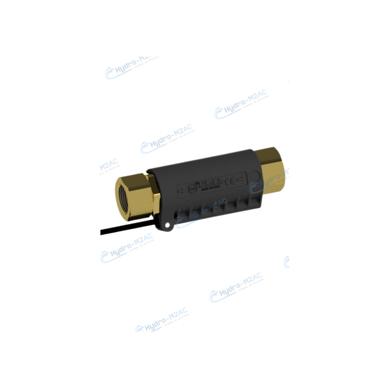 28.0460.00 - FLUSSOSTAT AVEC SONDE FL12 28.0460.00 - FLUSSOSTAT AVEC SONDE FL12